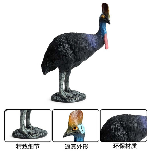 Simulación Oenux Modelo de animales Toys Bird Birds Owl Eagle Parrot Pavo Pavo avalde