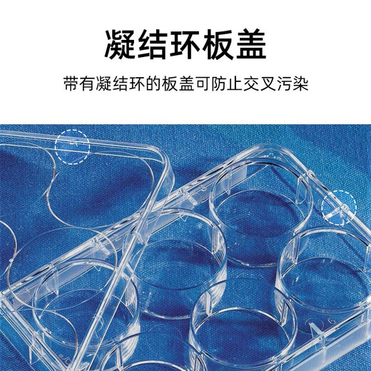 云程corning康宁 6 12 24 48 96孔细胞培养板 低吸附TC U底培养板 Cos 352424孔