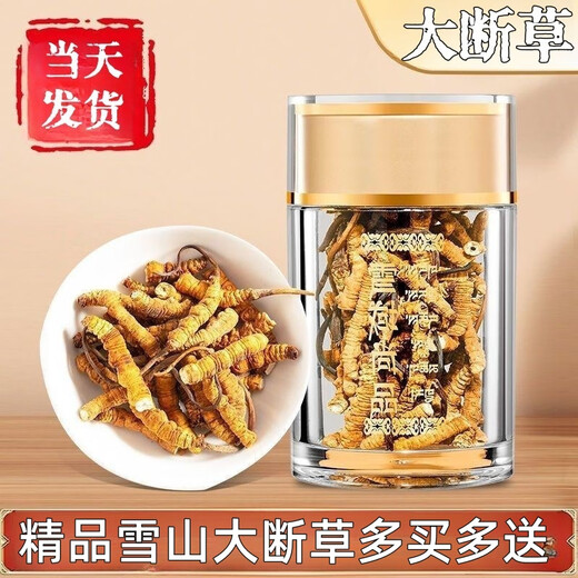 Cordyceps sinensis broken grass authentic first-rate Cordyceps in Tibetan areas home-packed self-eating first choice 10 grams get 1 gram more buy more buy more buy more buy more buy more buy 20 grams get 2 grams