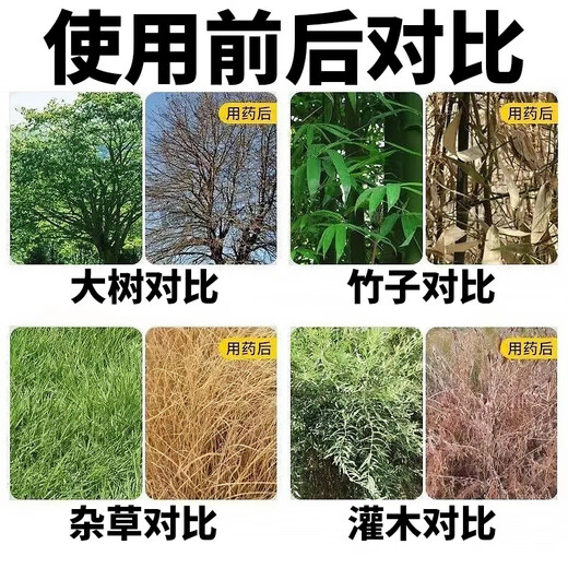 Cyclazinone is a special medicine to remove dead trees and rotten roots of large trees. Herbicide is a special medicine to remove big trees and remove rotten roots of bamboo. Genuine Cyclazinone 2Jin Jin is equal to 0.5kg