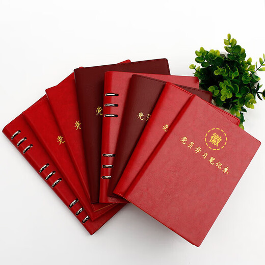 XUCHEN党员学习笔记本本子A5红棕色100张200页仿皮面党建工作教育日记本工作记事本记录本可定制印logo