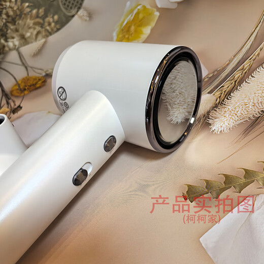 Aolga DF21 hotel's same high-speed negative ion hair dryer for home hotel use lightweight quick-drying hair dryer high-power constant temperature hair care smoothing strong wind hair dryer European standard plug for foreign use DF21 dark gray