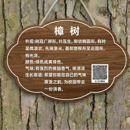 Tree tag, plant label, nameplate, garden tree name introduction, custom acrylic tree name, Arbor Day 20x15cm, preferred material, more durable