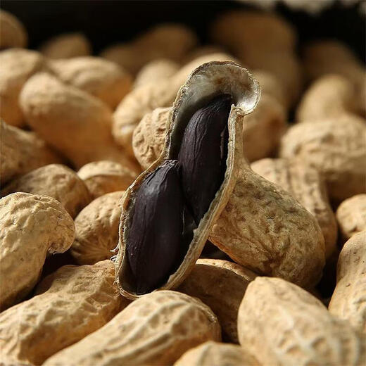 Black peanut seeds in shell, rich in selenium, black peanuts, black peanuts, farmers choose to sow in the field, black purple peanut seeds, black pearl peanut seeds, half Jin Jin is equal to 0.5 kilograms