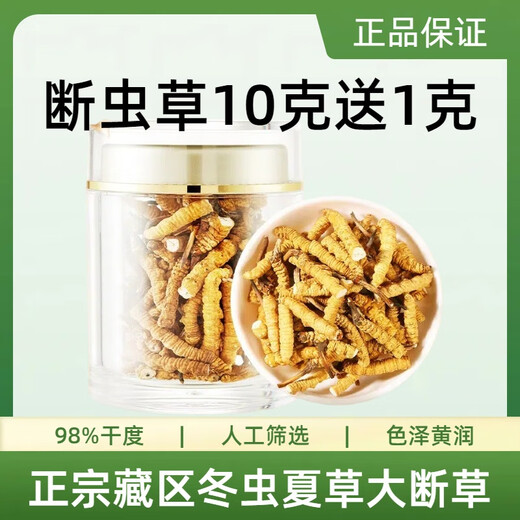 Authentischer tibetaner Cordyceps sinensis hohe Höhe Cordyceps Sinensis großes gebrochenes Gras echtes Cordyceps Sinensis sich selbst gegessenes hochwertiges authentisches Tibet Nagqu hochlöslich Cordyceps Sinensis 10 Gramm Pack 1 Gramm, insgesamt 11 Gramm