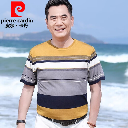 Pierre Cardin Cool Cool Silk Silk Summer Camiseta redonda de cuello redonda de manga corta Papá de mediana edad de manga de manga corta Atentable Top FJ693 Blue gris sin hielo transpirable y sin píldoras 4xl 190 180-200Jin [Jin equivale a 0.5 kg]