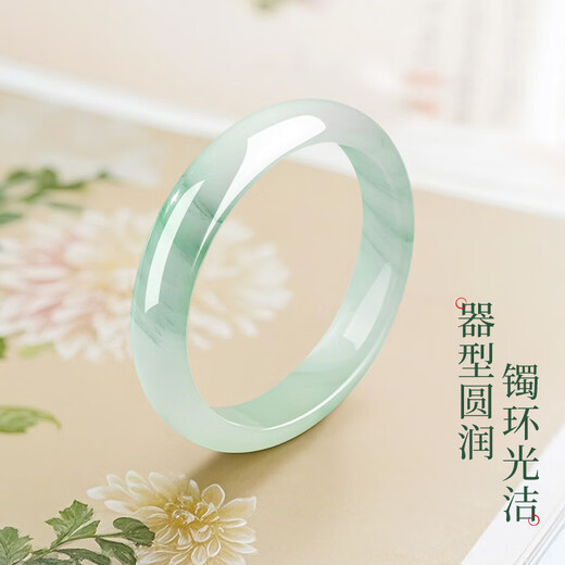 周大金 CHOW TAI KING天山翠玉手镯女士金丝镯子冰透飘花生日礼物送女友老婆走心实用