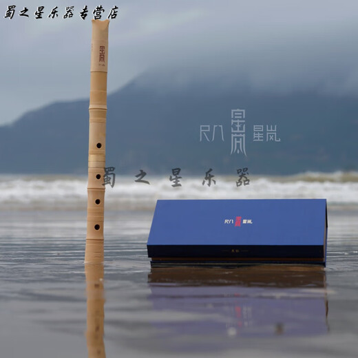 时笙日本尺八 尺八星岚 日本乐器 树脂尺八外切口五孔D管初学入门神器 正手七孔星岚 解放沉音制霸流行
