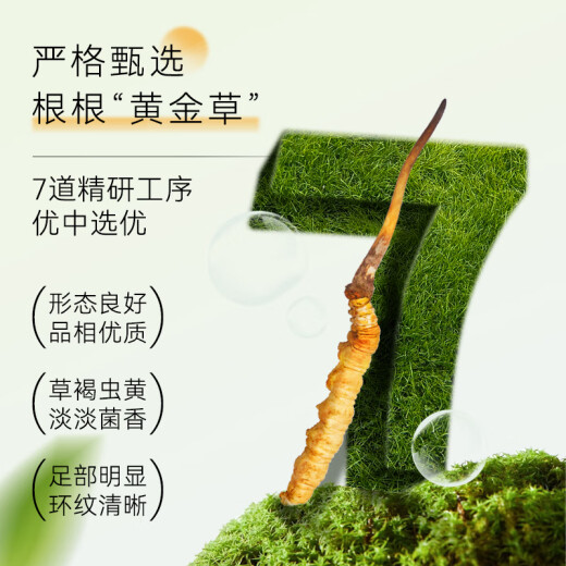 东阳光冬虫夏草3-4根/g10根滋补礼盒冬虫草营养品补品送长辈端午节礼物