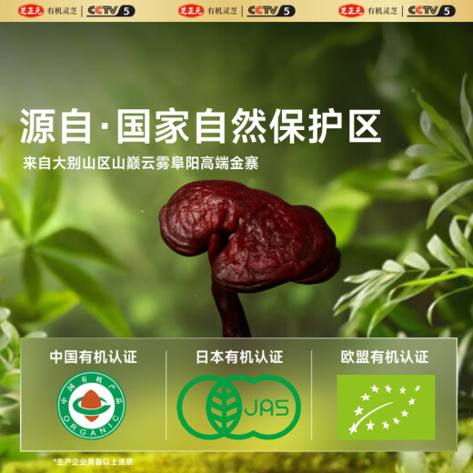 芝正元破壁灵芝孢子粉试用装6g 1g*6袋 三萜15.8%  增强免疫