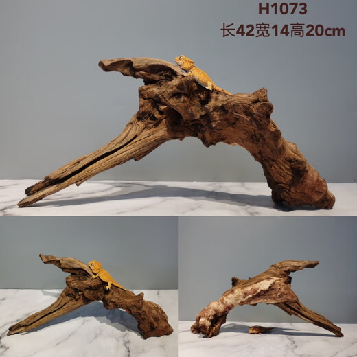 Lizard de león con múltiples mascotas sube 30-80 cm Guardias de reptiles de madera para evitar ramas de rana de árboles decorativas paisajismo H1047 Calidad