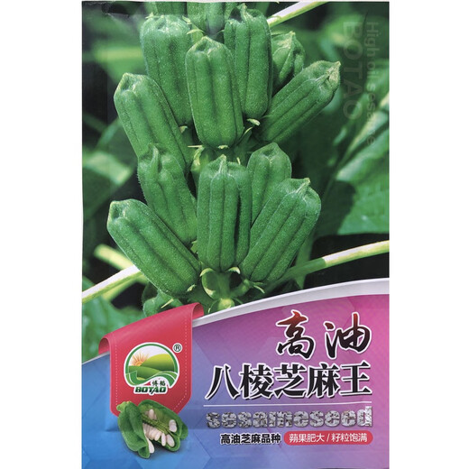 Кунжутные палочки, капсула, плотные и долговечные, устойчивые к болезням и полеганию, семена черного кунжута для посева весной, летом и осенью, высокомасляные восьмигранные кунжутный король оригинальный 100г восьмигранный