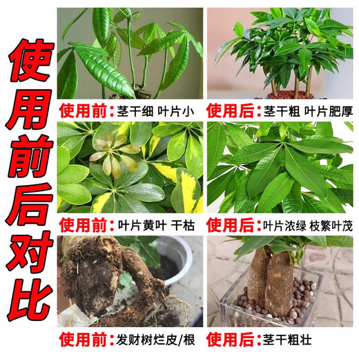 【原装】复合肥19-19-19氮磷钾农业肥蔬菜水果玉米水稻有机肥 10公斤20斤【原包装发货】 原包装发货活动仅剩【10分 08秒
