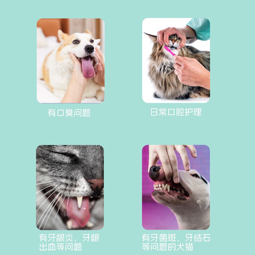 Annuo Dexiangling improves bad breath and odor and balances oral flora 30 packs/box for dogs and cats