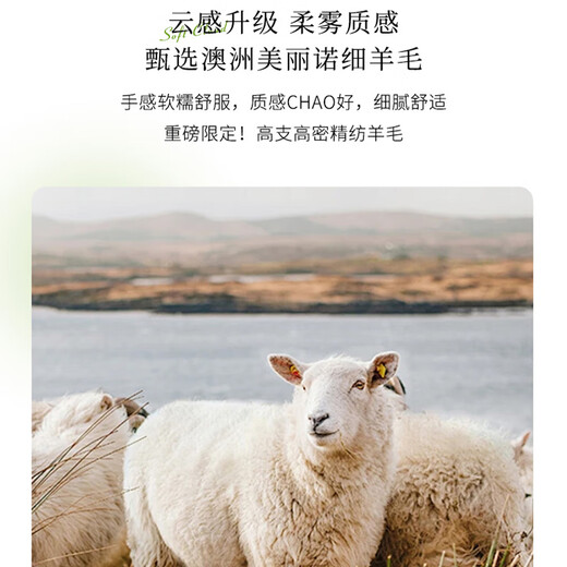 LisLAVE worsted wool short-sleeved sweater 2025 spring and summer new round neck thin sleeveless vest female temperament versatile slim original velvet rice JXWY1048 M