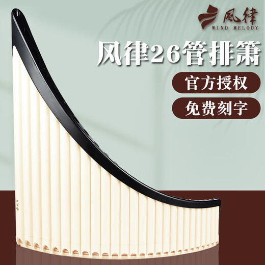 时笙26管排箫易学排笛初学者小学生教学成人儿童入门弧形演奏 26管演奏款象牙白