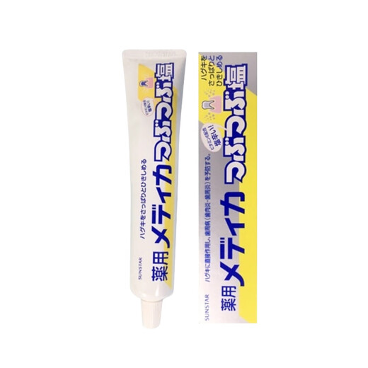 SUNSTAR药用海盐咸味护龈牙膏170g预防牙菌斑缓解出血 日本进口