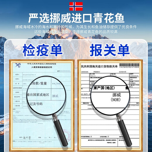 尚致挪威青花鱼鲜切青花鱼片深海鱼青占鱼新鲜冷冻青鱼鲭鱼生鲜鱼类 1000g【190-220g*5片】特大净重