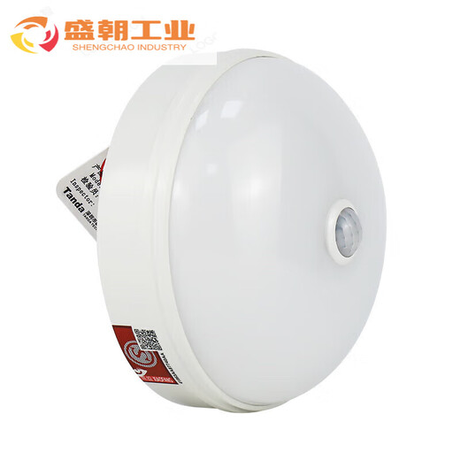 泰和安集中电源控制型消防应急照明灯具吸顶嵌墙式疏散照明指示灯 TS-ZFJC-E3W-6615B 吸顶式