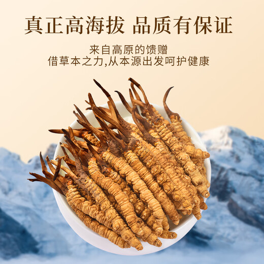 万草康仁冬虫夏草精选草藏区鲜干虫草滋补营养送母亲节礼物滋补品送长辈 3根/克 100g（礼盒装）送5g同款+藏红花*2
