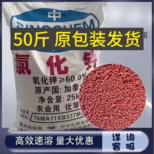 Canadian potassium chloride for fruit trees, vegetable flowers, agricultural water-soluble compound fertilizer, general fertilizer, potassium fertilizer granules, agricultural red potash fertilizer 10Jin Jin is equal to 0.5kg in one pack