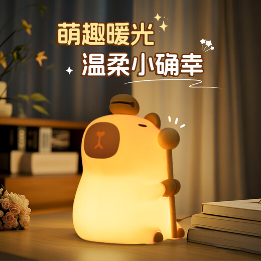 朵帆卡皮巴拉小夜灯女孩生日礼物女生实用10-14七夕情人节礼物送女友