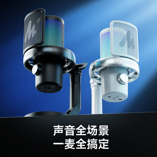 Maono Microphone Computer Wireless Radio Microphone Game Live Singing K-Song Recording Noise Reduction AI Voice Changing Mobile Phone Microphone Desktop Microphone Horcus Same Style Maono DM40 DM40Pro Black - Delivered with Double Stands (Same Style as Horcus)