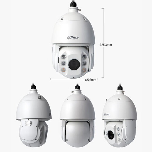 Dahua 6-Zoll-Netzwerk Ballmaschine 2 Millionen hochauflösende intelligente wasserdichte 150 Meter Sternenlicht Infrarotüberwachung Outdoor-Kamera 23x Zoom DH-SD6223-D2-I