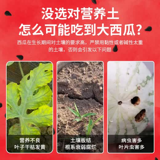 Yonghuan watermelon special nutrient soil watermelon special fertilizer soil watermelon nursery soil universal organic base watermelon special nutrient soil 30Jin Jin equals 0.5 kg