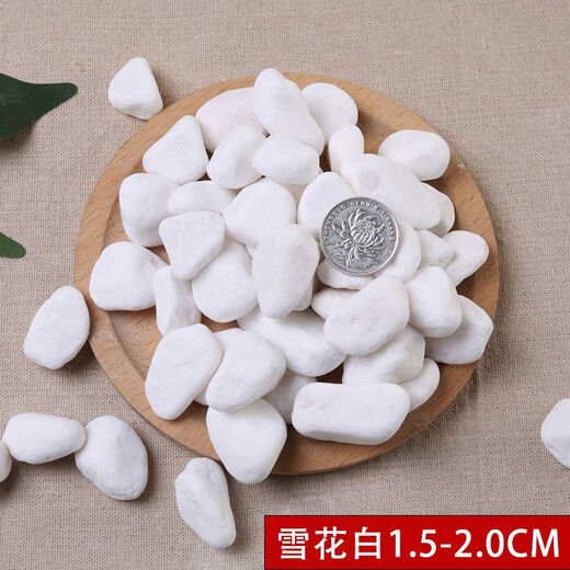 Runhuanian multi-succulent pavement stone flower cultivation small white pebbles pebbles rain flower stone fish tank landscaping potted courtyard paving 5Jin Jin is equal to 0.5kg fine snowflake white 15-2mm 1 capsule trial pack