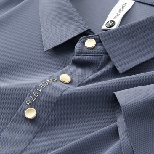 Jasonwood High-End Brand Herren-Kurzärärmel-T-Shirt Herren Sommer Revers Traaceless Ice Seidengeschäft Casual Herren Polo T-Shirt High-End Bean Green 702 [Spot Speed] XL (180/100a) schlägt 131-140jin vor [Jin gleich 0,5 kg]