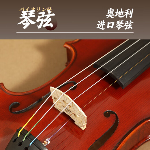 SUZUKI日本铃木进口小提琴实木儿童成人初学专业演奏考级 V500 【4/4】适用身高155cm-220cm