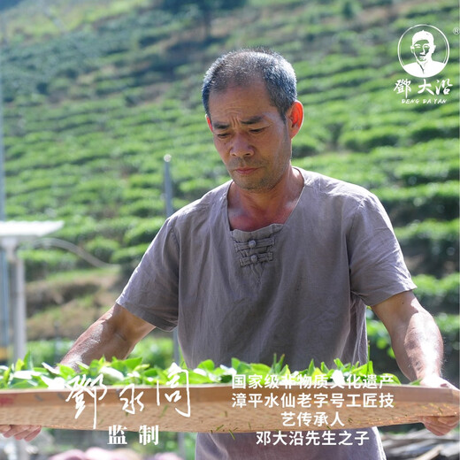 邓大沿漳平水仙茶综合品鉴装福建省老字号非遗传人便携盒装乌龙茶 妙品/尚品/逸品/各四个共12个