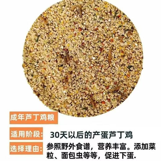 Rutin chicken special feed Rutin chicken egg production feed mealworm brooding feed quail feed high protein 2Jin Jin equals 0.5 kg brooding food containing mealworms dried vegetables