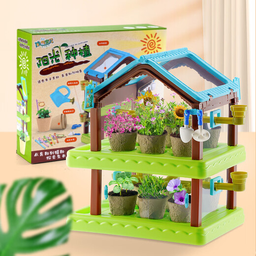 Sunshine Planting House Kinderbotanische Gartenfarm Gemüse und Blumen spielen Hausspielzeug Wissenschaft Kleines Experiment Set Doppelschicht Sonnenschein Pflanzhaus [VC8062+ Geschenkbox]