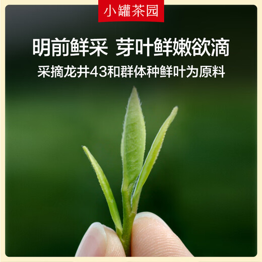 小罐茶园·龙井茶 25年明前绿茶正宗龙井茶原产地钱塘产区茶叶礼盒100g 