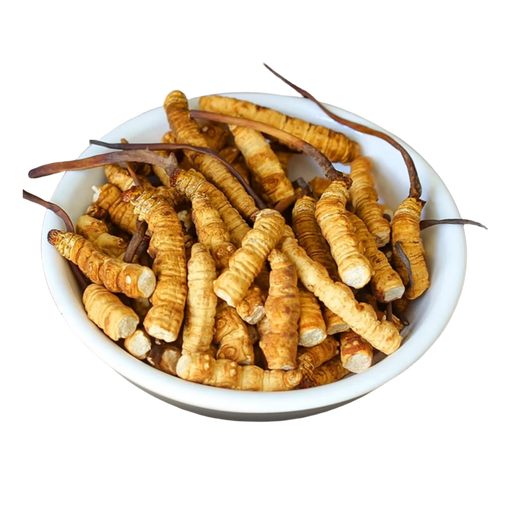 Authentischer tibetaner Cordyceps sinensis hohe Höhe Cordyceps Sinensis großes gebrochenes Gras echtes Cordyceps Sinensis sich selbst gegessenes hochwertiges authentisches Tibet Nagqu hochlöslich Cordyceps Sinensis 10 Gramm Pack 1 Gramm, insgesamt 11 Gramm