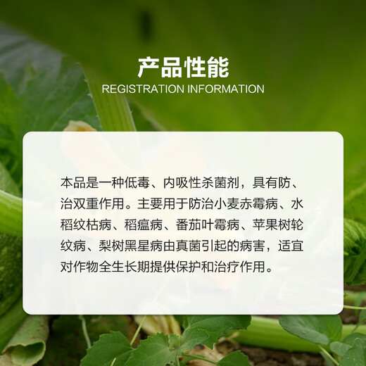 Risso Methyl 70% thiophanate methyl thiophanate methyl Gibberellus anthrax scab disease fungicide pesticide 90g