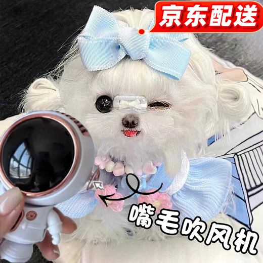 OUOETY Yorkshire Maltese special puppy mini hair dryer pet mouth hair facial facial hair blowing supplies mouth hair hair dryer black mute five-speed adjustment