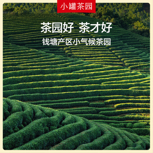 小罐茶园·龙井茶 25年明前绿茶正宗龙井茶原产地钱塘产区茶叶礼盒100g 