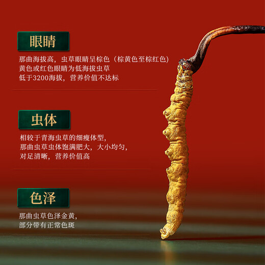 半山农【野生】冬虫夏草3-4条/克 1克 西藏那曲虫草 送长辈滋补营养品