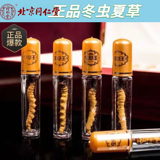 Beijing Tongrentang raw materials [Select Cordyceps gift box gift (Specifications 3-4 roots/Select Cordyceps [1 root]
