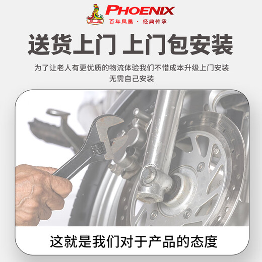 Phoenix Beetle electric tricycle for household use, small electric vehicle for walking for the elderly, electric three-wheeled leisure battery vehicle for the elderly, 600W丨60V30A lithium battery + battery life of about 75 kilometers