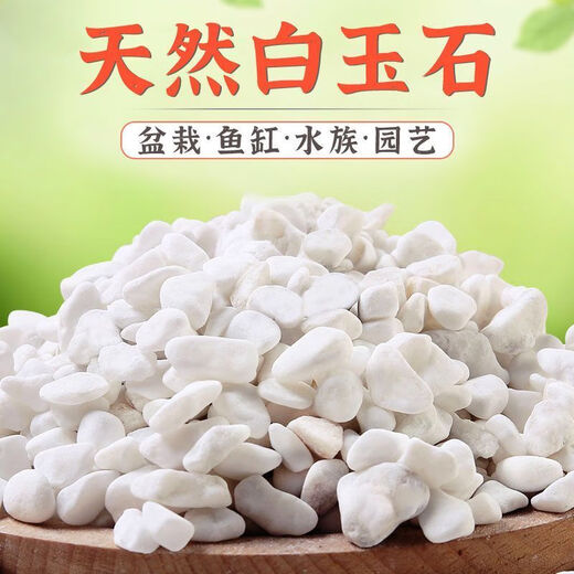 Runhuanian multi-succulent pavement stone flower cultivation small white pebbles pebbles rain flower stone fish tank landscaping potted courtyard paving 5Jin Jin is equal to 0.5kg fine snowflake white 1-3mm 1 capsule trial pack