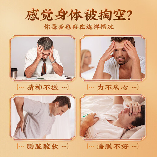南同四海南京同仁堂人参枸杞六宝茶枸杞桑葚补茶黑枸杞红枣肾黄精养生茶包