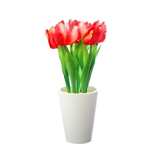 Tulip seed bulbs imported from the Netherlands, winter cold-resistant indoor and outdoor courtyard flower seeds, hydroponic plant potted large balls Review 10 balls + fertilizer (super cheap)