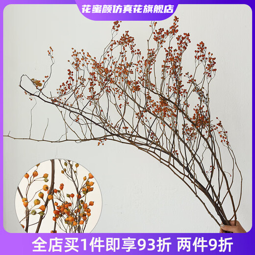 Wen Shi Ou Shan Return, natürliche Pflanze, getrockneter Blumenstrauß, Wohnzimmerdekoration, Wabi-Sabi-Windblumenarrangement, trockene Zweige, dekorative Ornamente, trockene Zweige, feine orangefarbene Bergrückkehr, 5 getrocknete Blumen 100–11