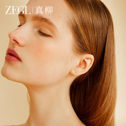 ZEGL999 Pure Silver Earrings, Earrings, Needles, Ear Hole Earrings for Women, Simple