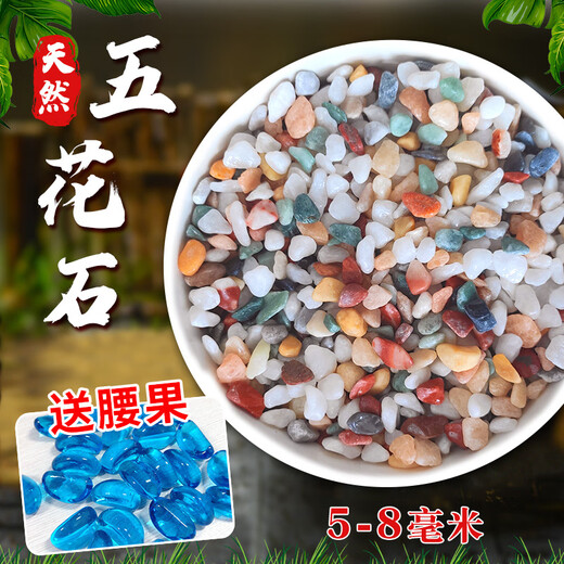 Runhuanian Pure Rain Flower Stone Potted Succulent Pavement Stone Small Multicolored Stone Fish Tank Pavement Ornamental Stone Colorful Small Stone Multicolored Stone 5-8mm 5Jin Jin is equal to 0.5 kg