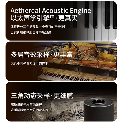 Helen Zhenyao H-3 Série Piano électrique Piano étape par étape Heavy Hammer 88 CLÉ PALACE-PALACE ACULTIQUE PIANO TONE HOME Intelligent Zhenyao H-302i [Smart and Play] Luxury Black
